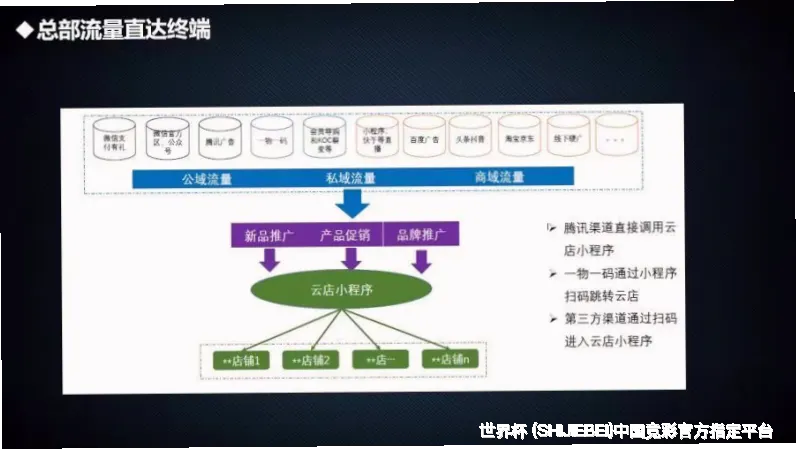 数据专家与球迷的完美融合